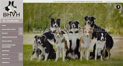 Desktop Screenshot of bunkerhillvet.com